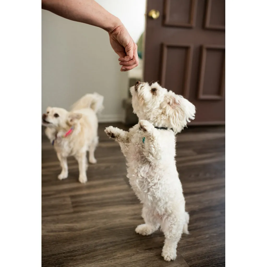 Loving Pets Houndations Duck Flavor Dog Training Treats (4oz)