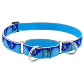 Lupine Dog Collar Martingale 1" Wide X 15"-22" Neck Size Blue Paws