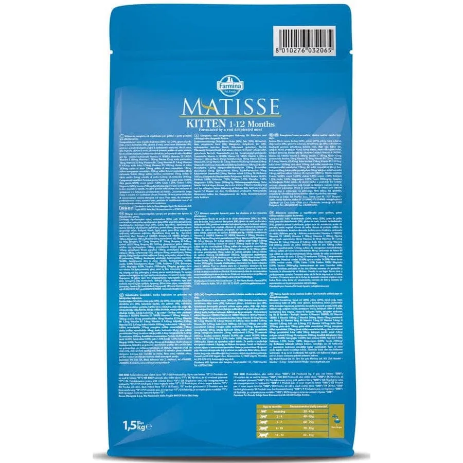 Matisse Kitten 1-12 Months
