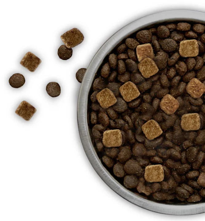 Merrick Backcountry Raw Infused Game Bird Recipe Grain Free Dry Dog Food