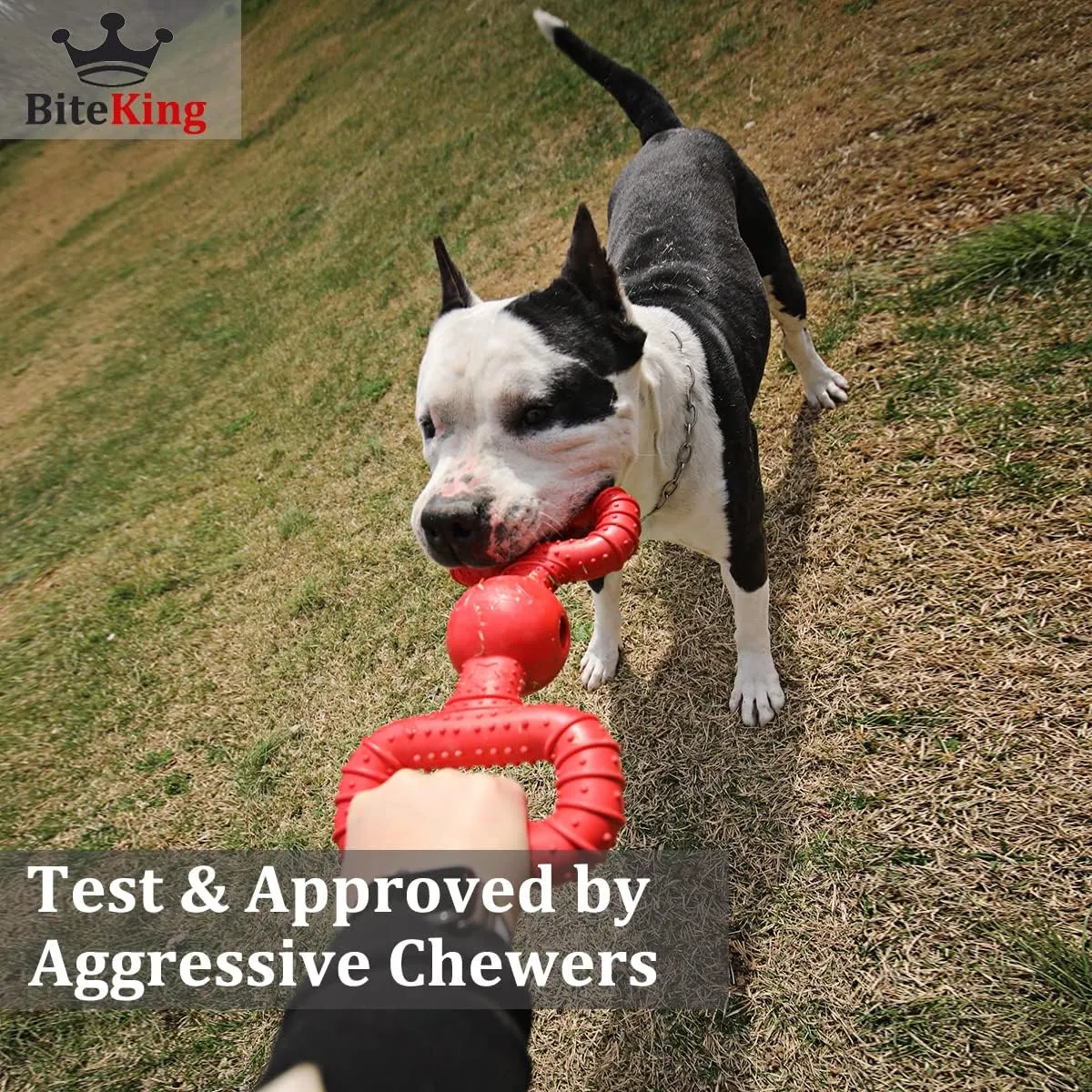Natural Rubber Dog Toys for Medium Aggressive Chewers - Lifetime Replacement - Tough Tug War Dog Toy for Medium Dogs Tooth Clean, Red