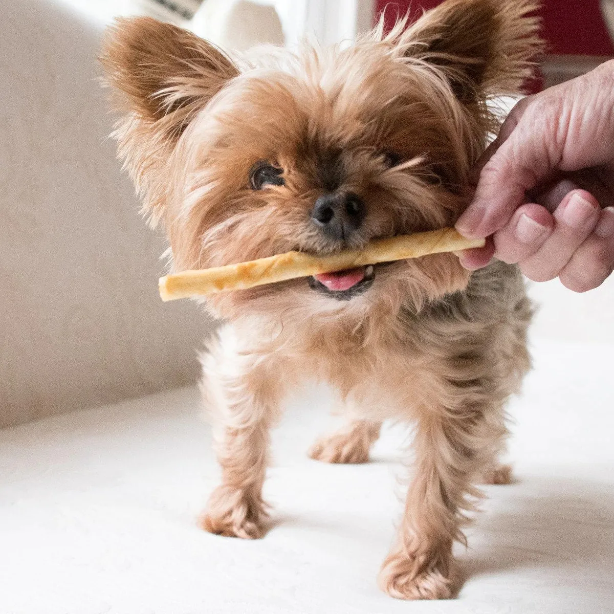 No-Hide Chicken Stix, 10/pack from Earth Animal