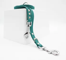Non - Slip, Waterproof, Multifunction, Adjustable Hexa Dog Leash |  Width: 16 mm | Length: 2.5 m