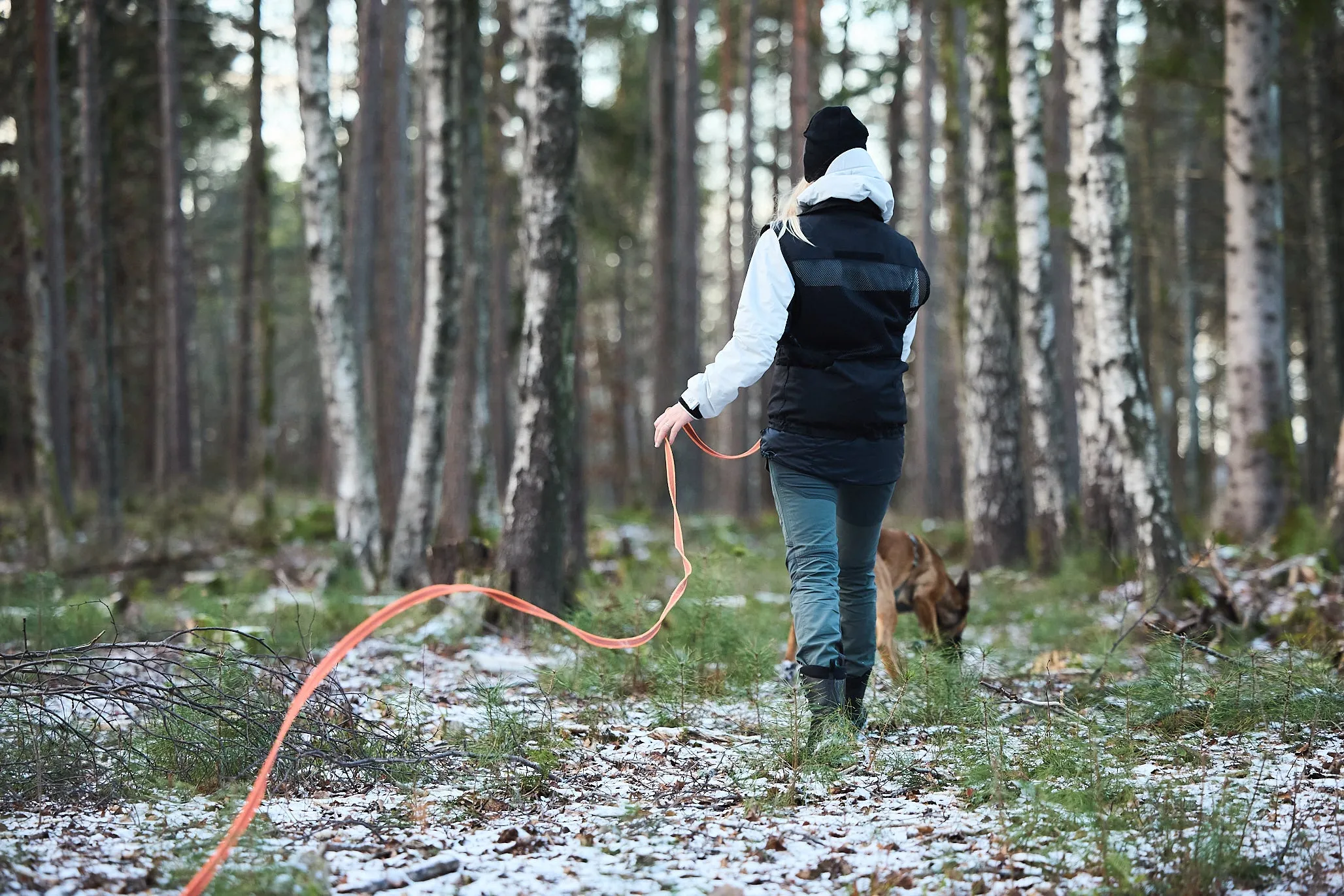 Non-Stop Dog Wear: Friction Long Line