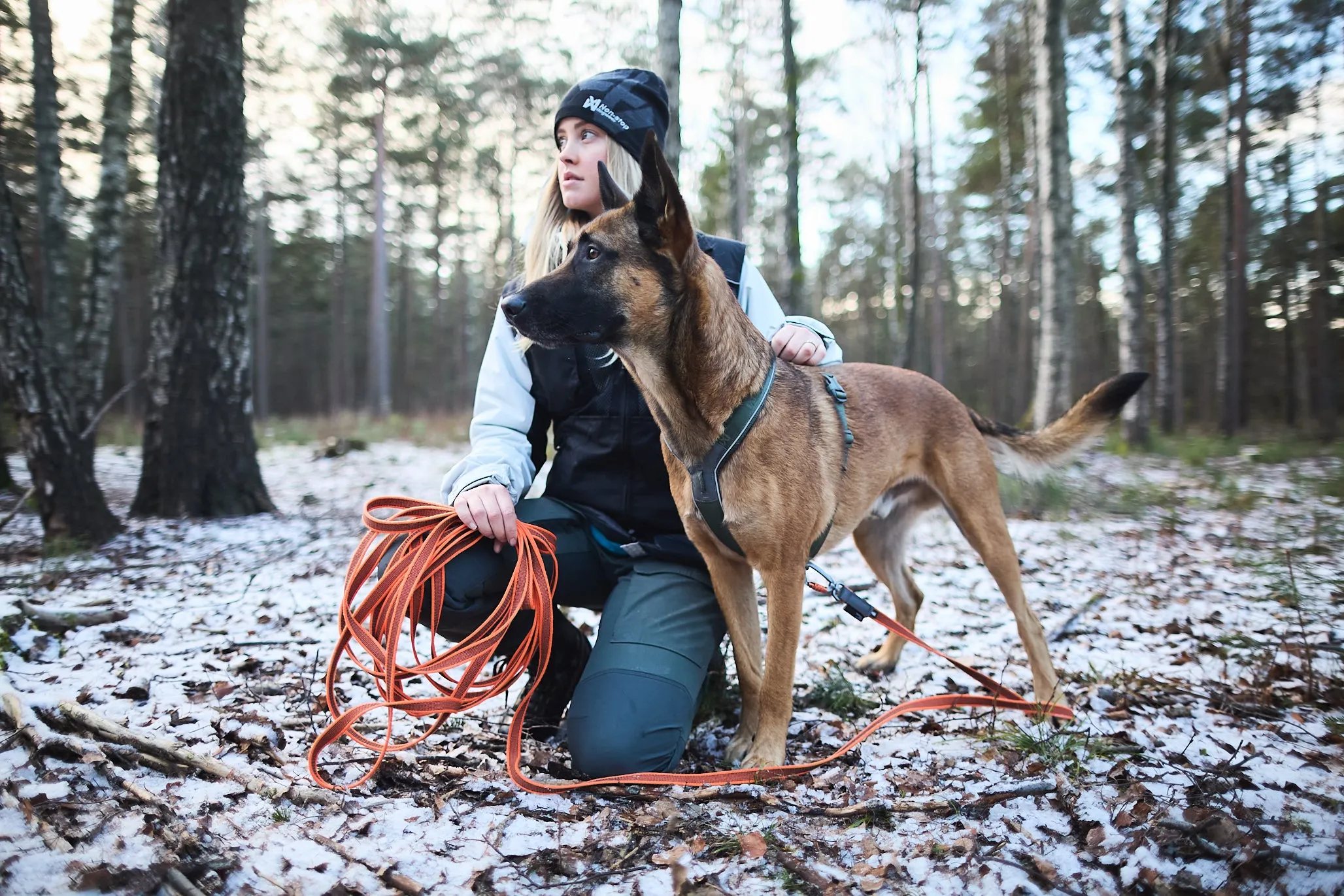 Non-Stop Dog Wear: Friction Long Line