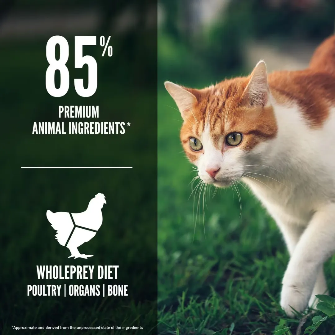 Orijen Fit & Trim Recipe Cat Dry Food