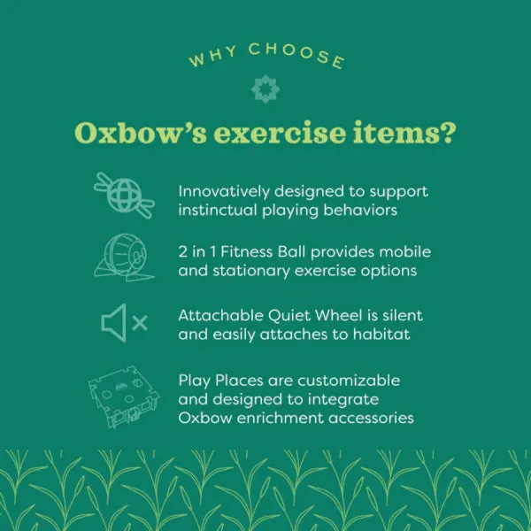Oxbow Enriched Life – Attachable Quiet Wheel