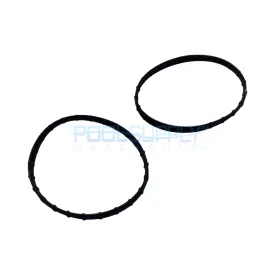 Pentair Union Diamond Seal (2 Pack) - 178746Z