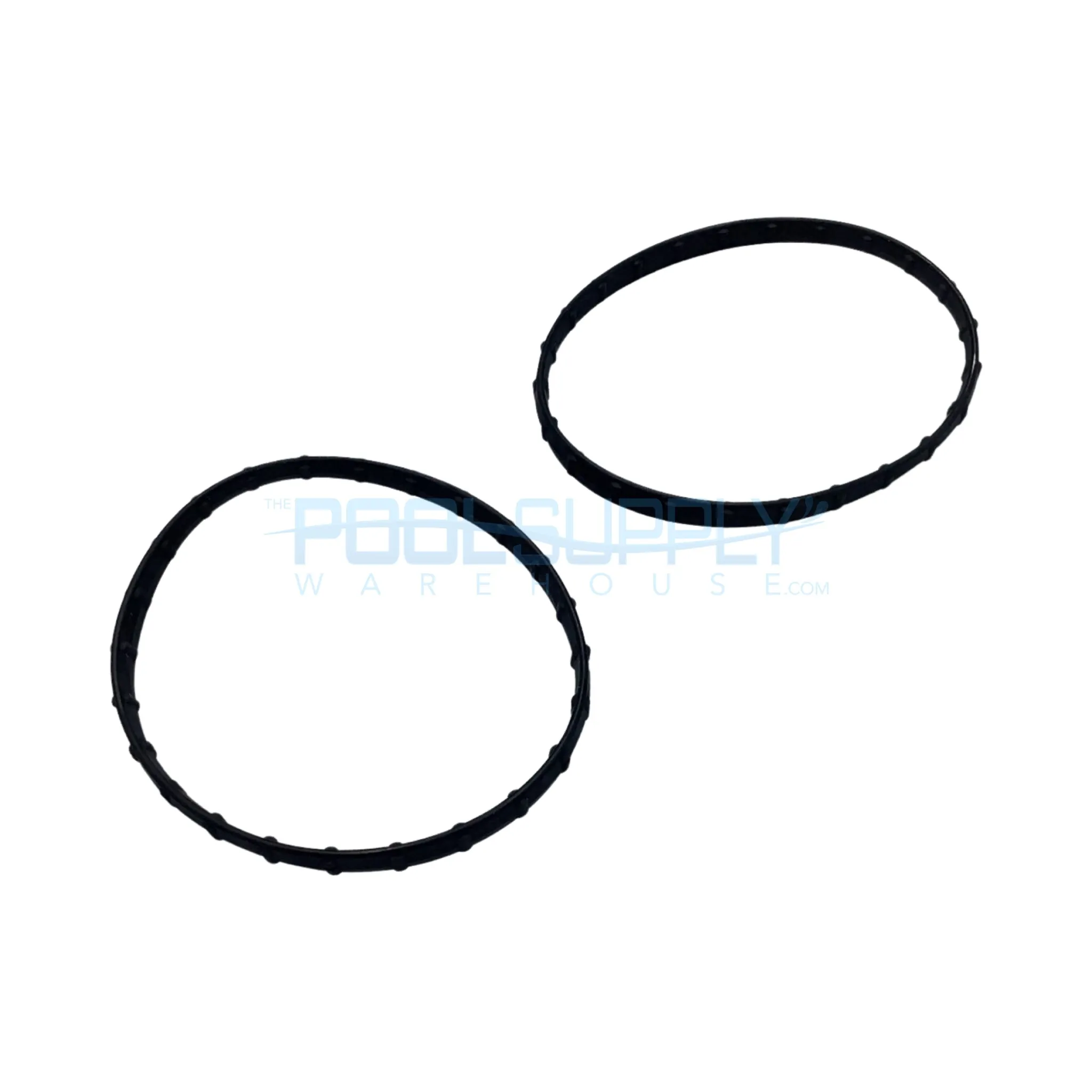 Pentair Union Diamond Seal (2 Pack) - 178746Z