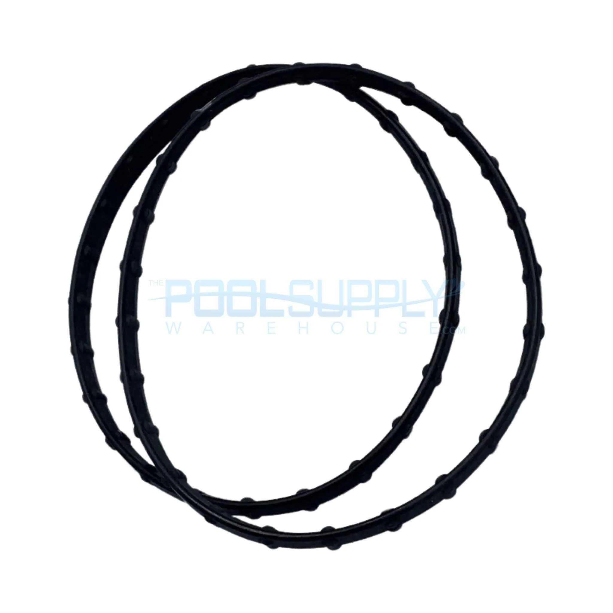 Pentair Union Diamond Seal (2 Pack) - 178746Z