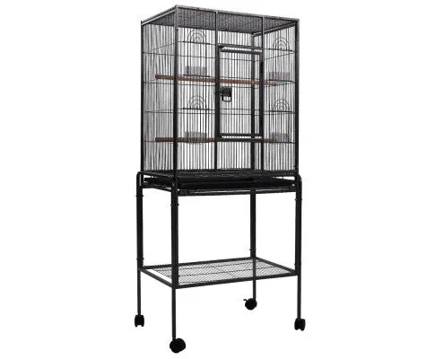 Pet Bird Cage with Feeders 144CM