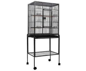 Pet Bird Cage with Feeders 144CM