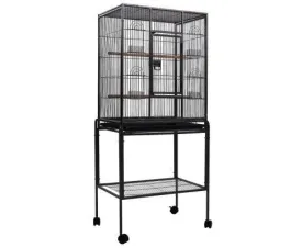 Pet Bird Cage with Feeders 144CM