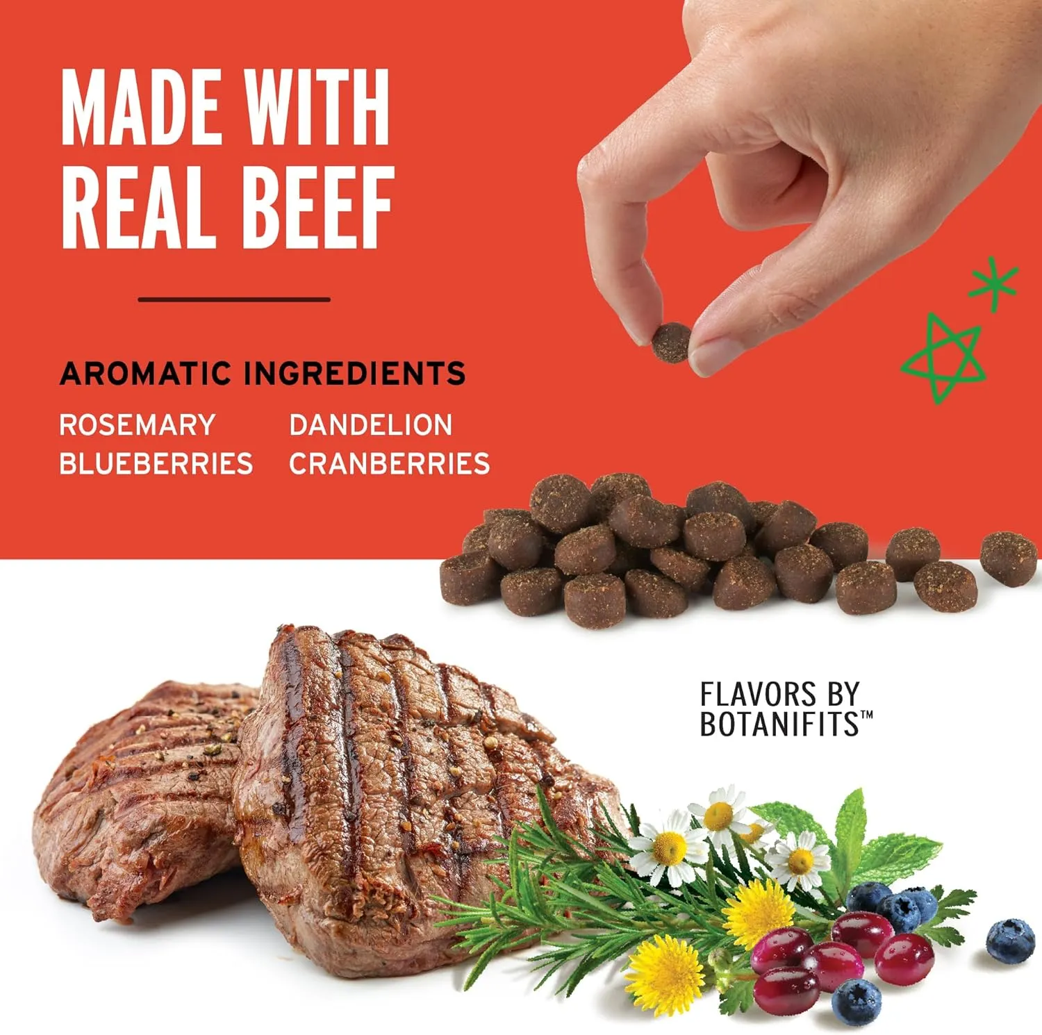 Pet Botanics Training Rewards Soft & Chewy Beef Flavor Dog Treats (20 oz)