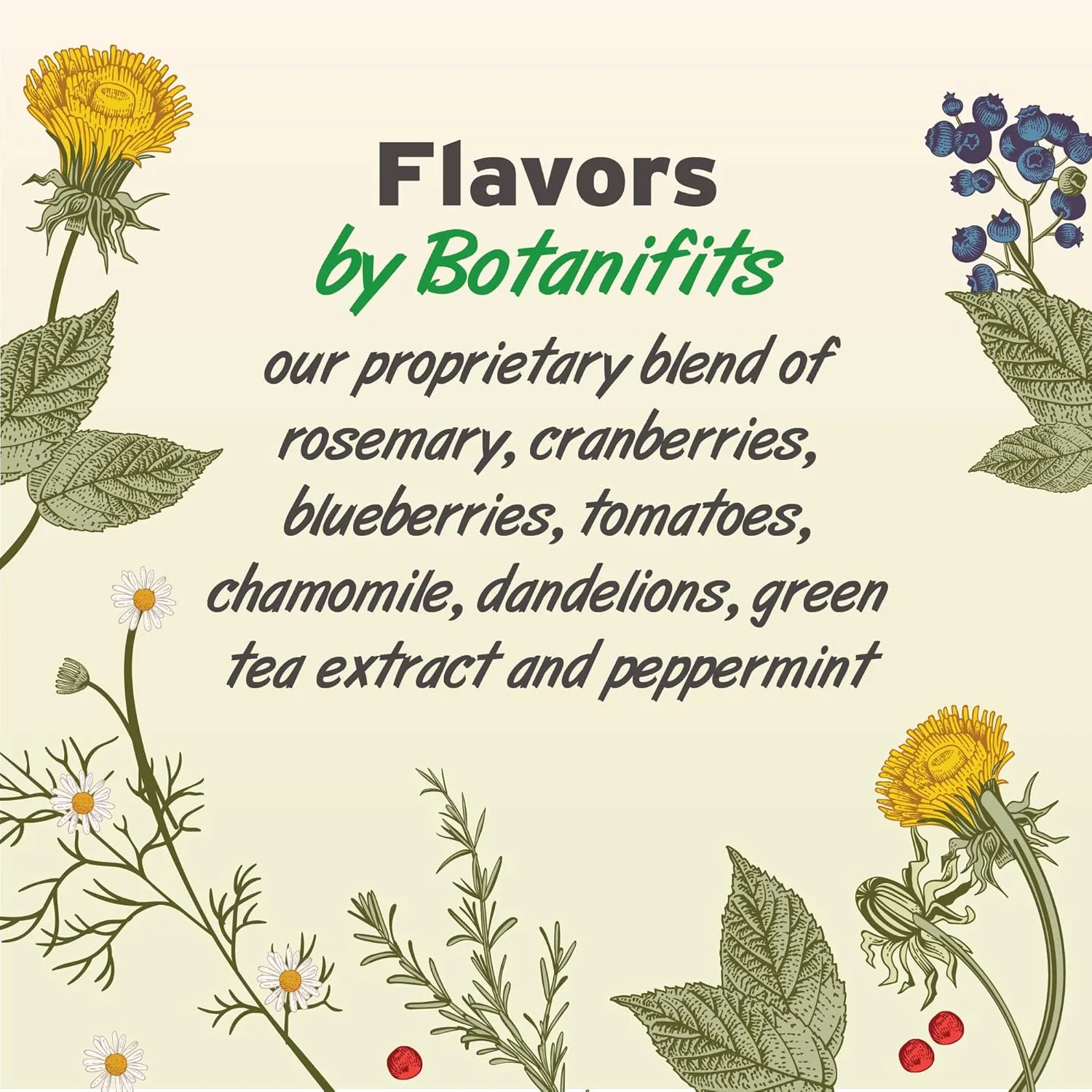 Pet Botanics Training Rewards Soft & Chewy Beef Flavor Dog Treats (20 oz)