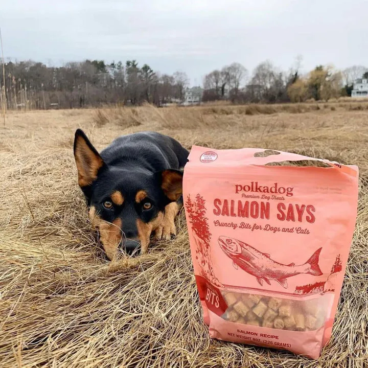 Polkadog Salmon Says Bits 8-oz, Dog Treat