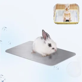 Rabbit Cooling Pad, 11.8x7.9 in Hamster Cooling Mat Pet Cool Plate for Rabbit Bunny Hamster Guinea Pig & Other Small Pets Stay Cool This Summer - Bite Resistance Pet Cooling Pad Ice Bed