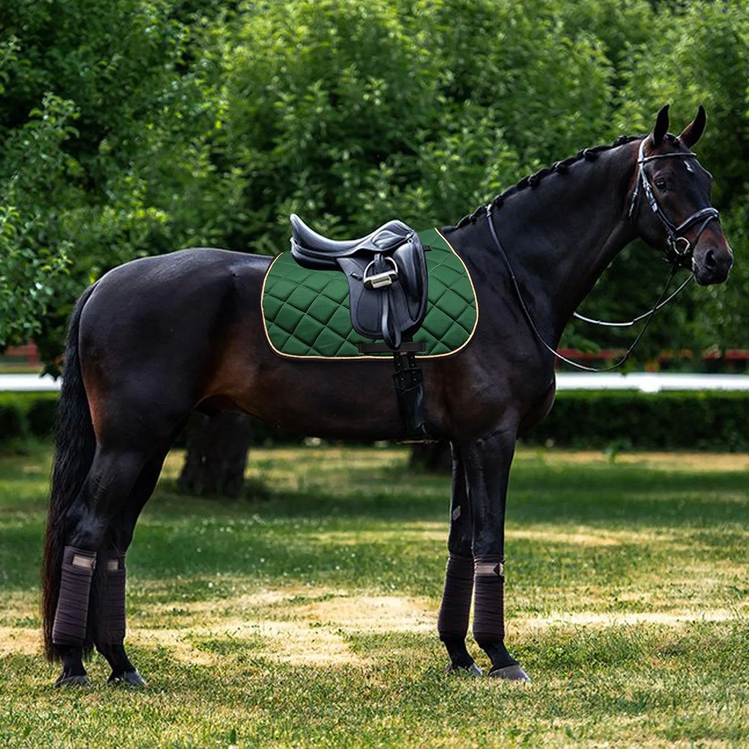 Royalian Horse Riding Cotton Dressage Saddle Pad