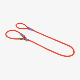 Slip N Lock Leash