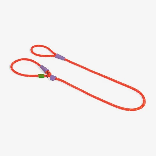 Slip N Lock Leash