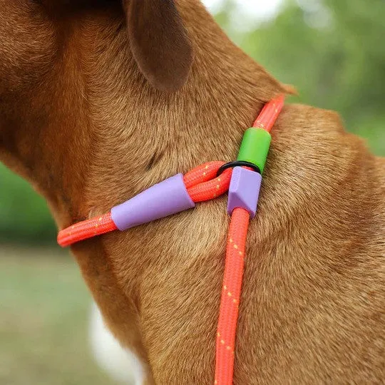 Slip N Lock Leash