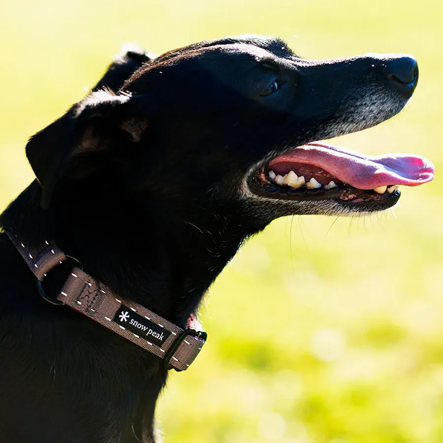 SP Slip Collar L