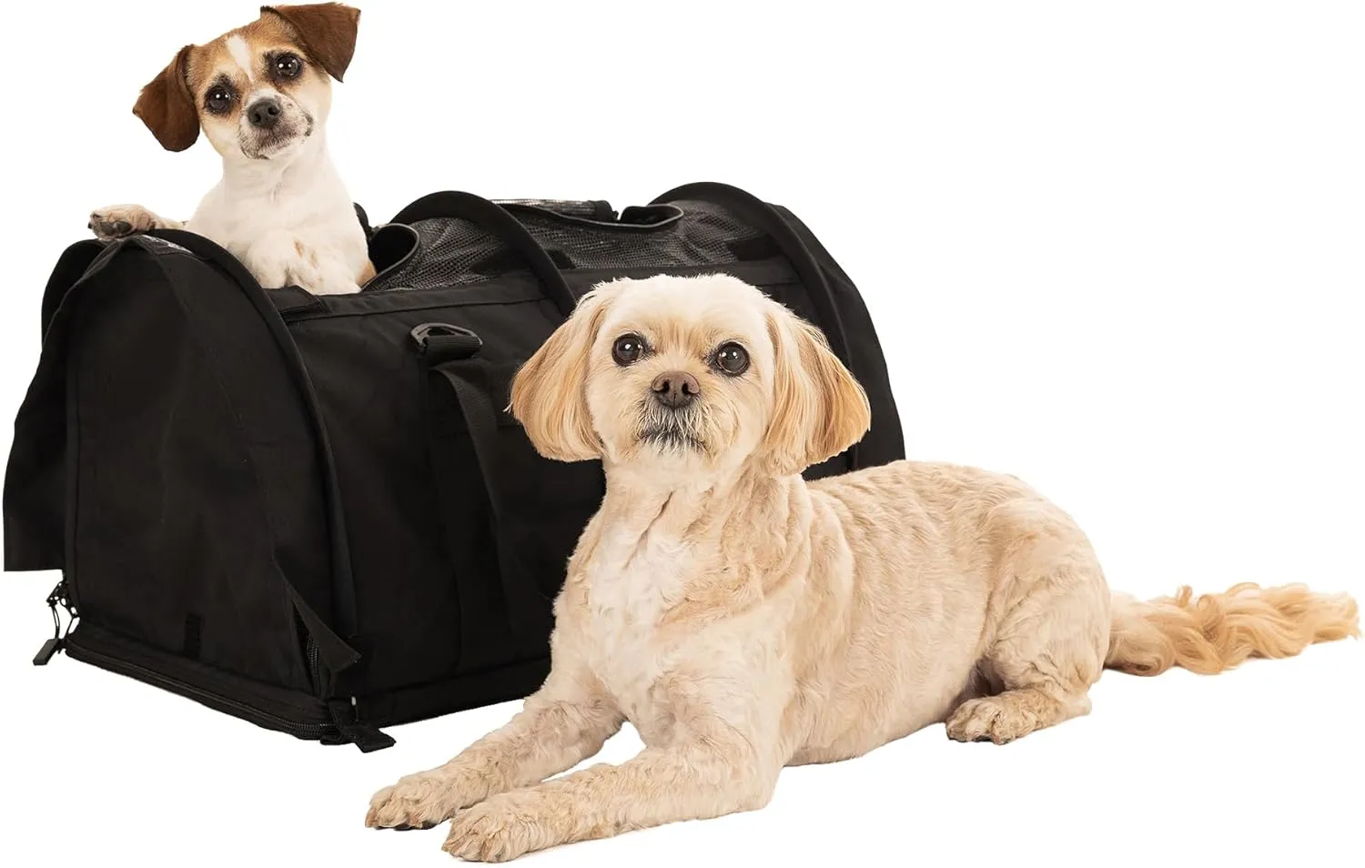 SturdiBag Pro 2.0 Divided Pet Travel Carrier with Flexible Height for Cats and Dogs | Soft Sided Pet Carrier Bag with Safety Clips and Seatbelt Straps for Airplane or Car Travel | Large, Black