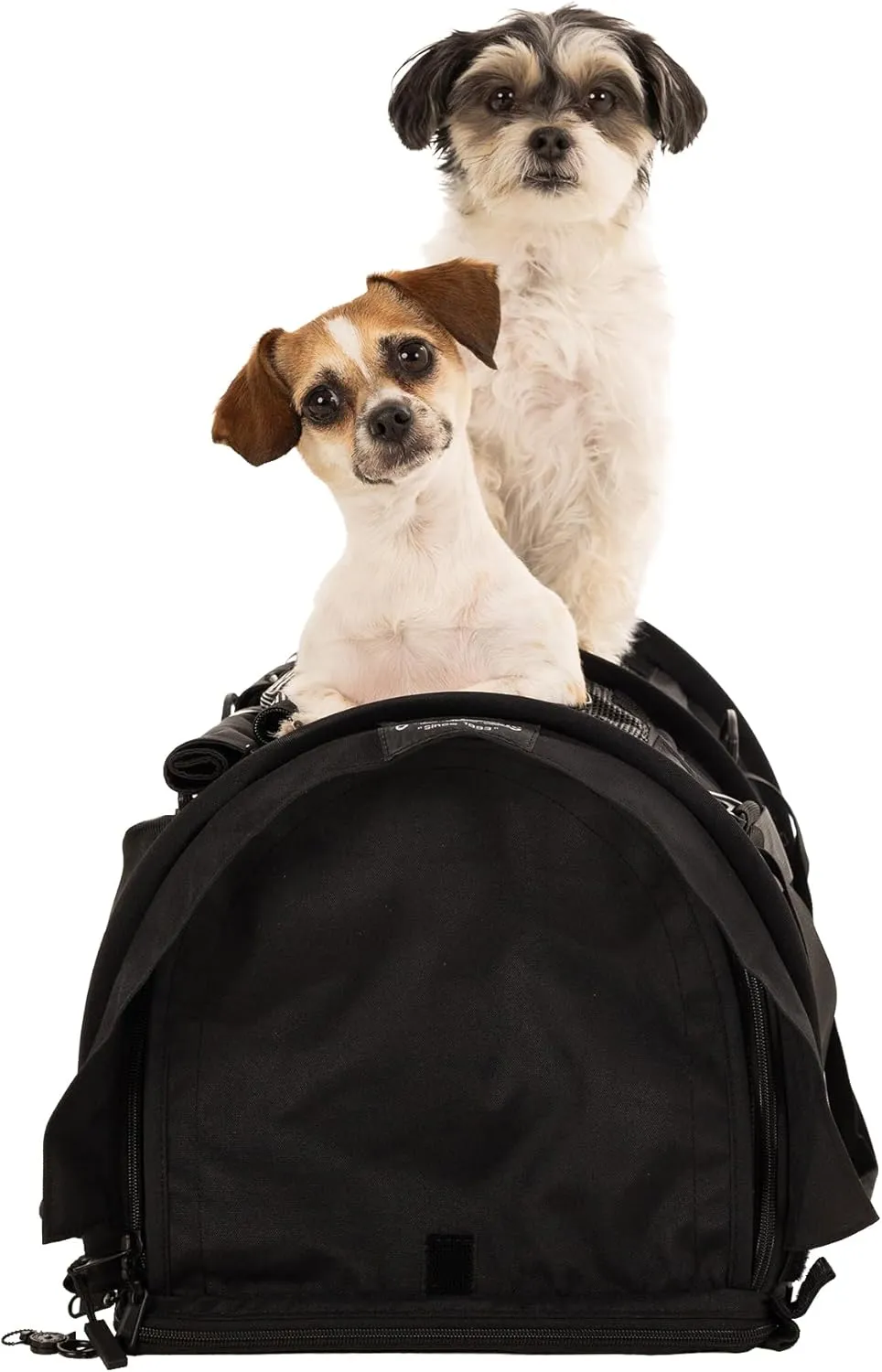 SturdiBag Pro 2.0 Divided Pet Travel Carrier with Flexible Height for Cats and Dogs | Soft Sided Pet Carrier Bag with Safety Clips and Seatbelt Straps for Airplane or Car Travel | Large, Black