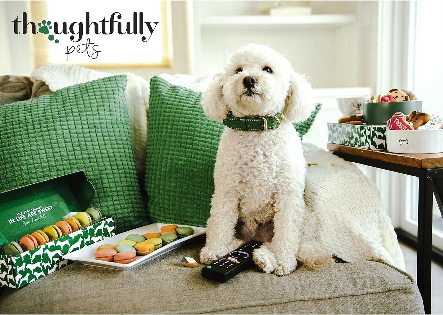 Thoughtfully Pets, Dog Birthday Cookie Gift Set, Hand Decorated Crunchy Treats in Bone Shapes, Great for Birthdays, Set of 8 (8 Count (Pack of 1), Boy)