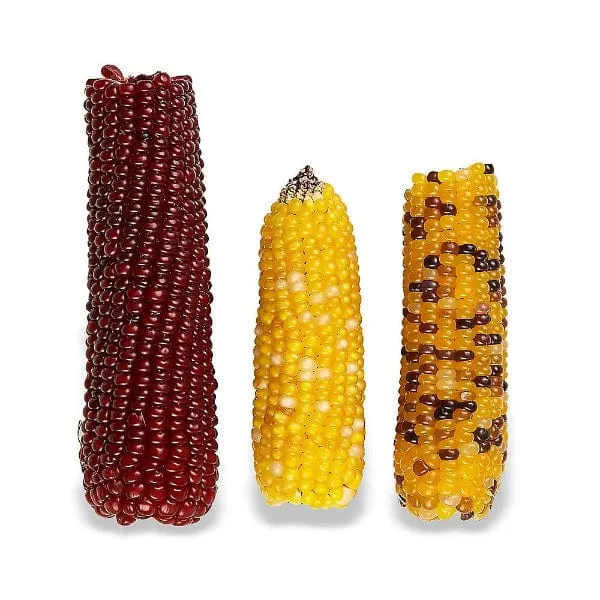 Vitakraft Mini-Pop Small Animal Treat